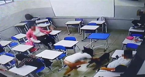 aluna cachorra|Cachorro ataca aluna de 12 anos dentro de sala de aula em GO;。